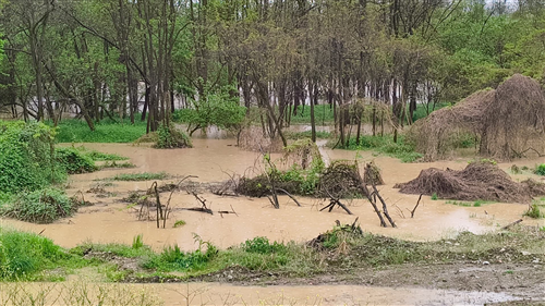 Alluvione aprile 2025 - comunicazione della Regione Piemonte per il ristoro danni ai privati cittadini
